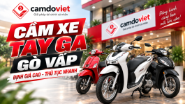 cam-xe-tay-ga-go-vap