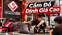 cam-do-dinh-gia-cao-go-vap